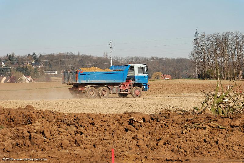 Schiltigheim 2008-01-04  - 12.jpg